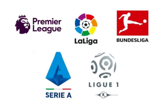 体育体系 体育体系